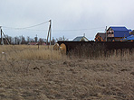 Продажа земельного участка в г. Верея, Наро-Фоминский район
