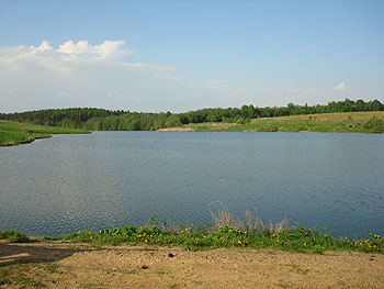 Земельный участок в д. Каменское