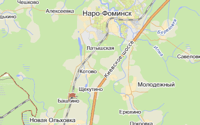 д. Башкино на карте