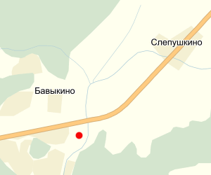 д. Бавыкино на карте