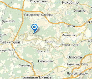 д. Палицы на карте
