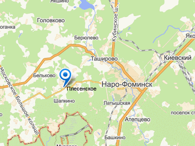 д. Плесенское на карте