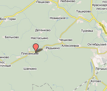д. Плесенское на карте