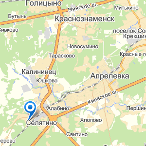 д. Селятино на карте