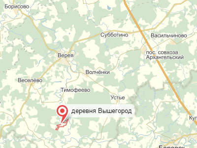 д. Вышегород на карте