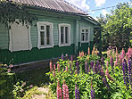 Дом в д. Алексино, Наро-Фоминский район