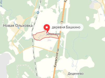 д. Башкино на карте