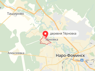 д. Терновка на карте