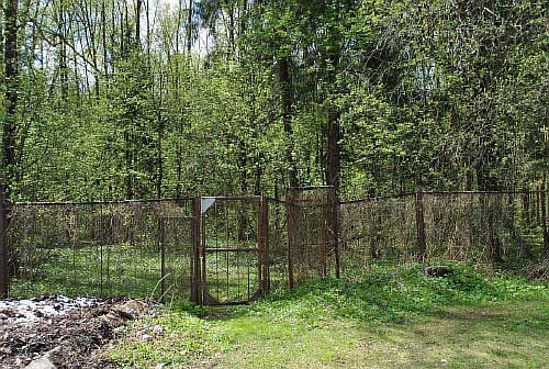 ������� ���� � ��� ����� � �. ���������, �������� �����