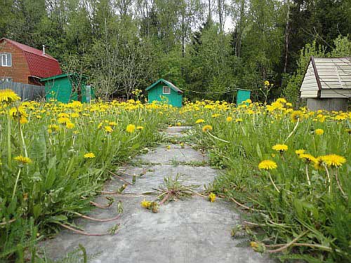 ���� � �. ���������, ��� ��������� ���