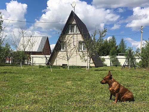 ���� � �. ���������, ��� ��������� ���