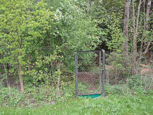 ������� ��� ������ � ���