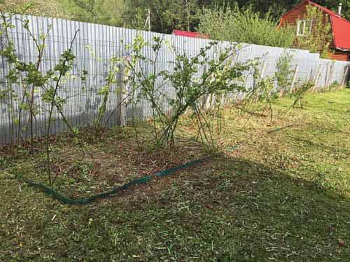 ���� � �����������