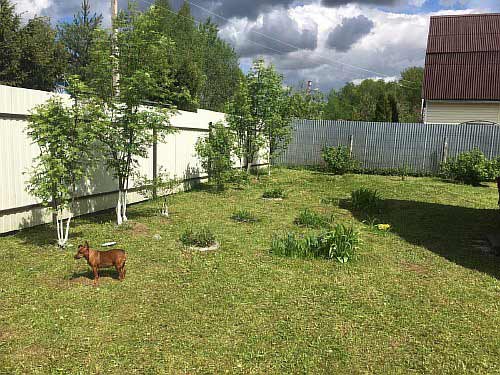 ������� ���� � �. ���������,���������� �������