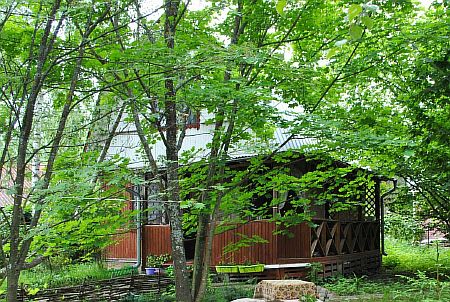 Продажа дачи у Ворсино, Балабаново, ДНТ Ворсино-Авиа
