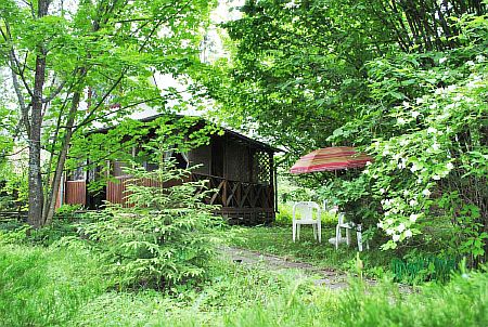 Продажа дачи у Ворсино, Балабаново, ДНТ Ворсино-Авиа