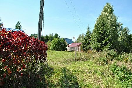 Продажа дачи у д. Порядино, СНТ Лайнер