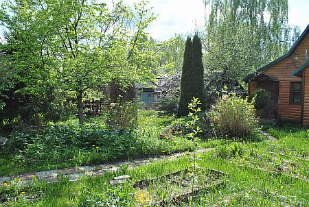 ���� � ��� ����-2 ��� � �. ��������, ����-��������� �����, ��������, ������� �����