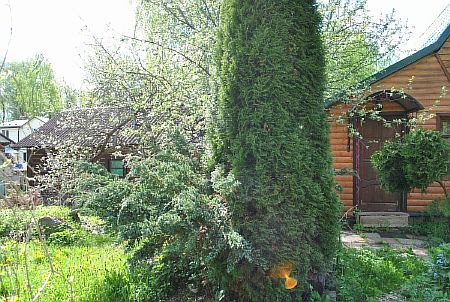 ���� � ��� ����-2 ��� � �. ��������, ����-��������� �����, ��������, ������� �����